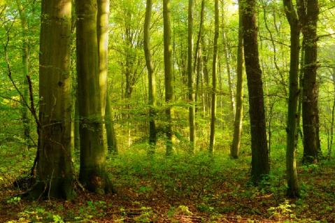 Illustration de l'article Don et réduction d’impôt : de nouveaux bénéficiaires !