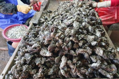 Illustration de l'article SAFER : quand le droit de préemption est mal motivé…