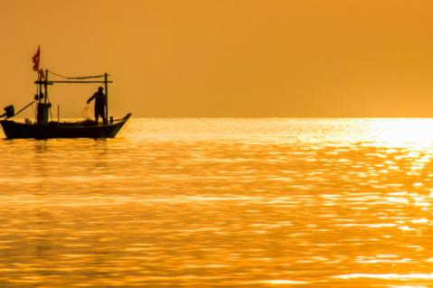 Illustration de l'article Pollution marine par la chlordécone : une aide financière prolongée