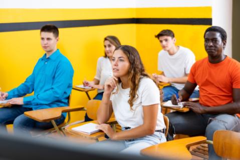 Illustration de l'article Permis de conduire : les questions du code de la route changent…