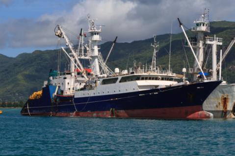 Illustration de l'article Défaut de conformité et réception sans réserve d’un navire : cas vécu