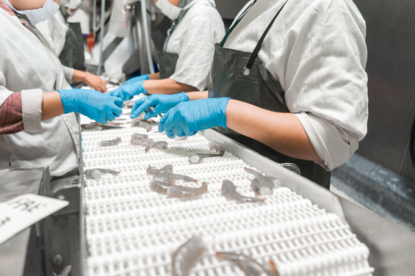 Illustration de l'article Secteur maritime : des structures professionnelles moins contrôlées ?