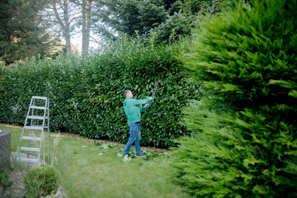 Illustration de l'article Pièces détachées et pièces de rechange : du neuf... et du moins neuf !